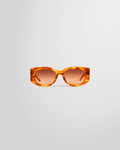 Casablanca Gold & Brown Memphis Sunglasses