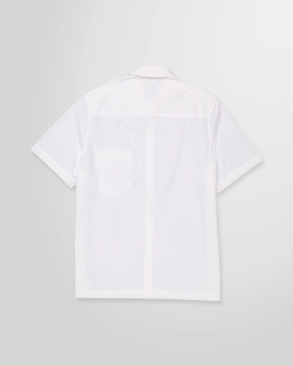 Back view of the Nanushka Adam short sleeve shirt in white cotton poplin.